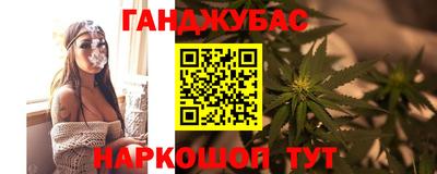 сатива Новодвинск