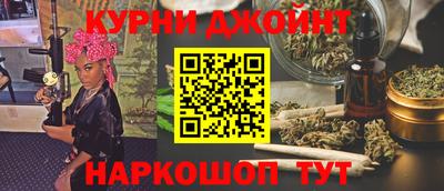 сатива Новодвинск
