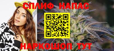 сатива Новодвинск